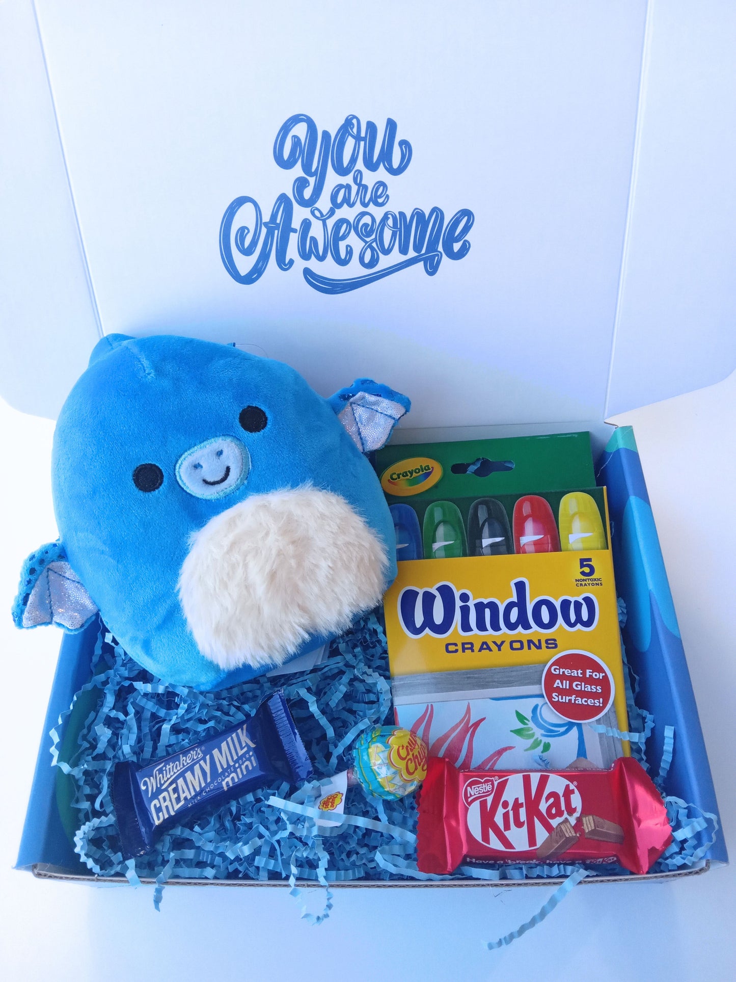 Squishmallow & Window Art Fun