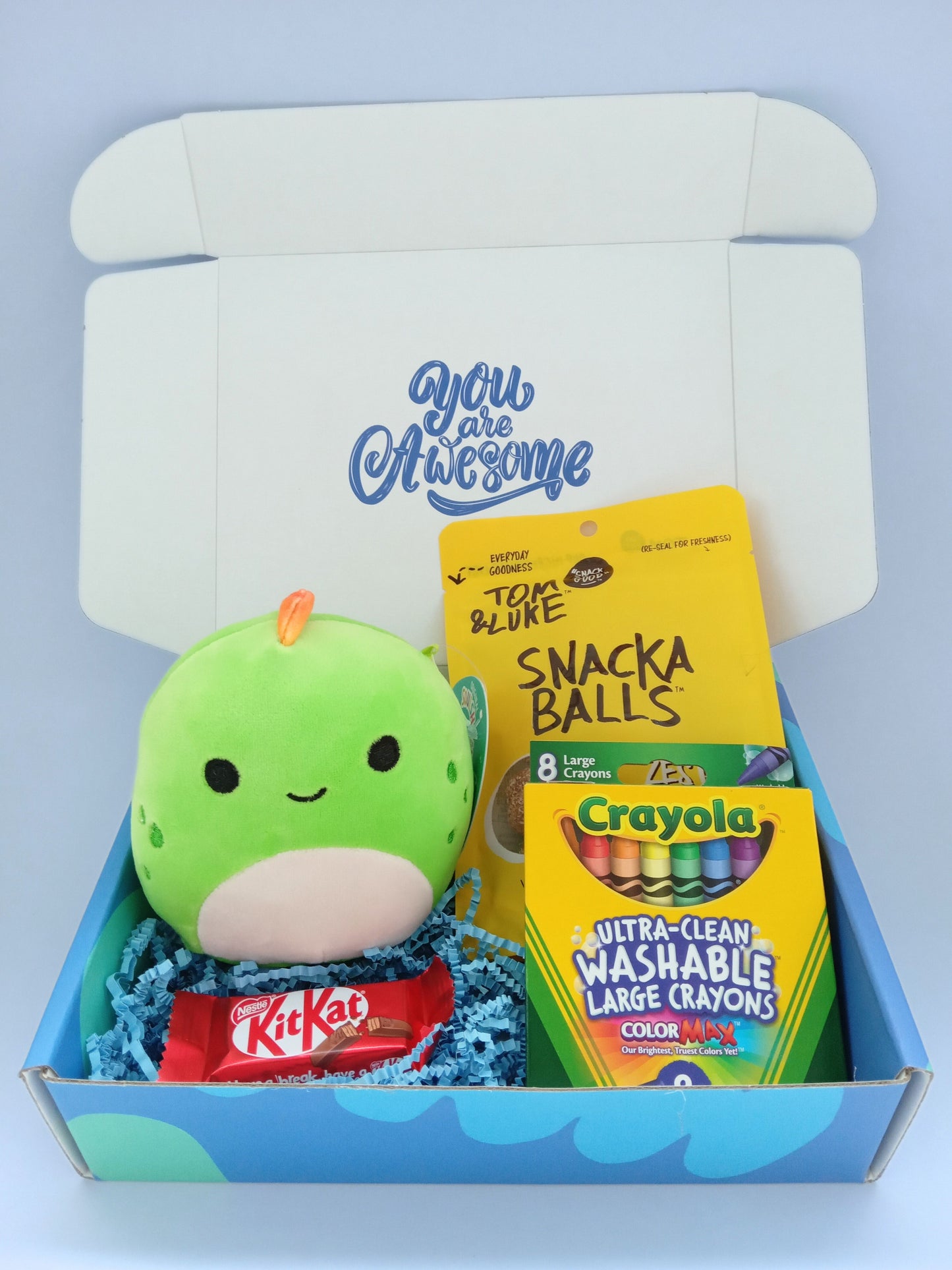 Squishmallow Activity